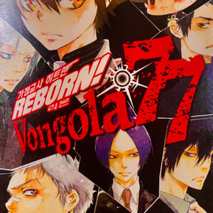 Reborn Vongola 77+ Colore!