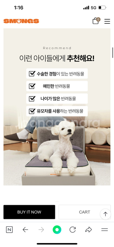 강아지 매트리스--4
