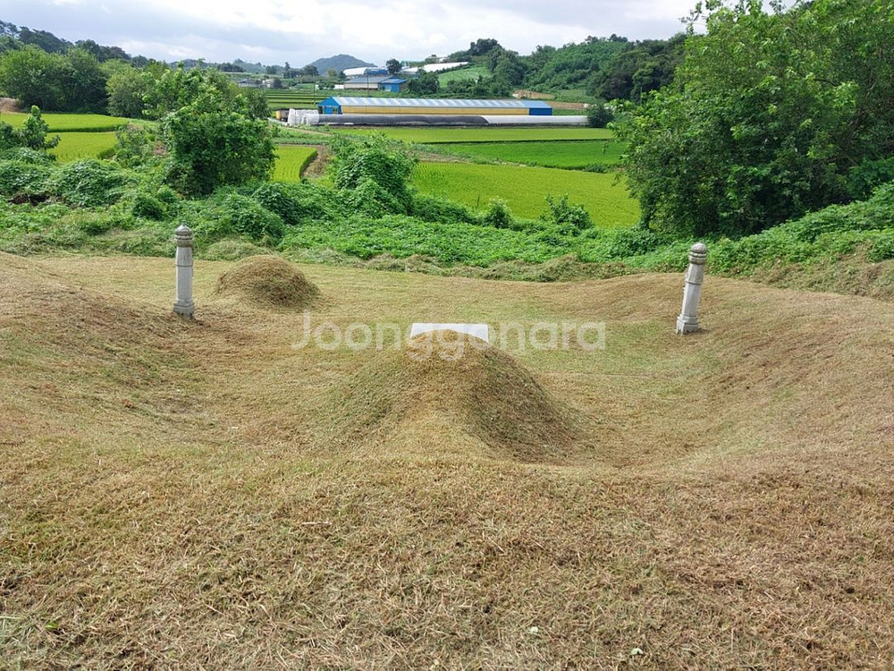 예초기 벌초대행 합니다--1