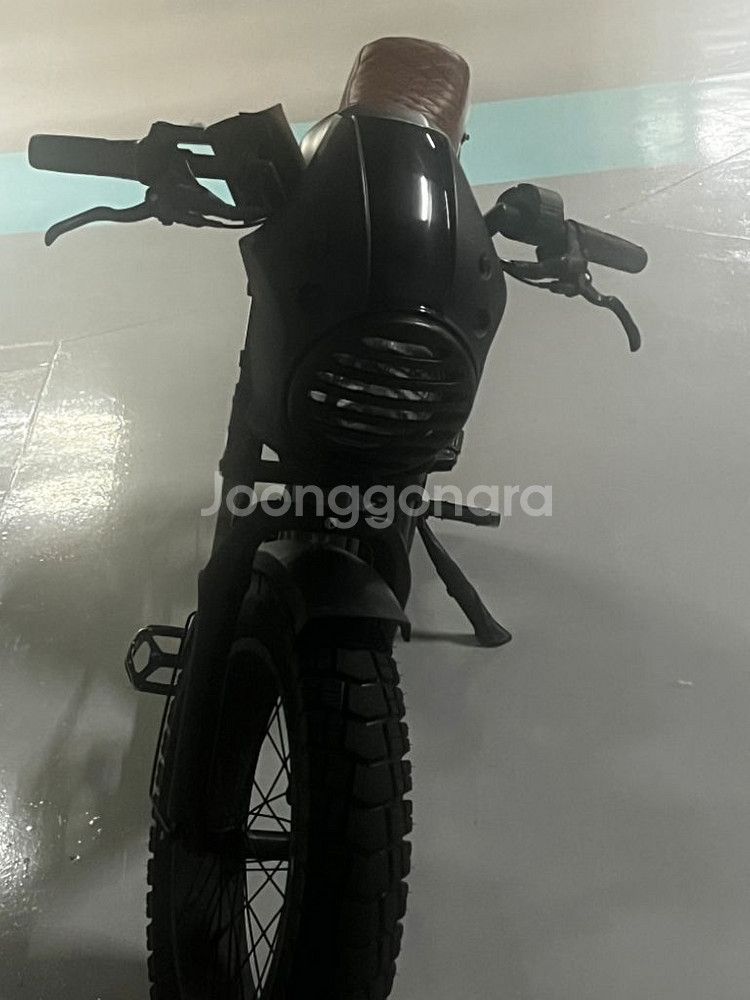 엑스라이더x100--1