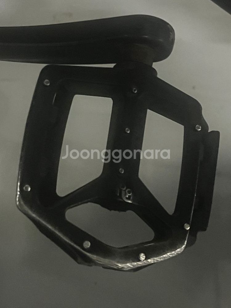 엑스라이더x100--4