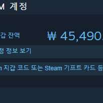 스팀월렛 45,000원 80퍼로 팝니다!