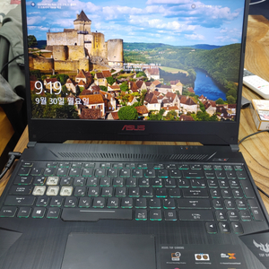 아수스게이밍노트북 (fx550gm-bq251) i5.