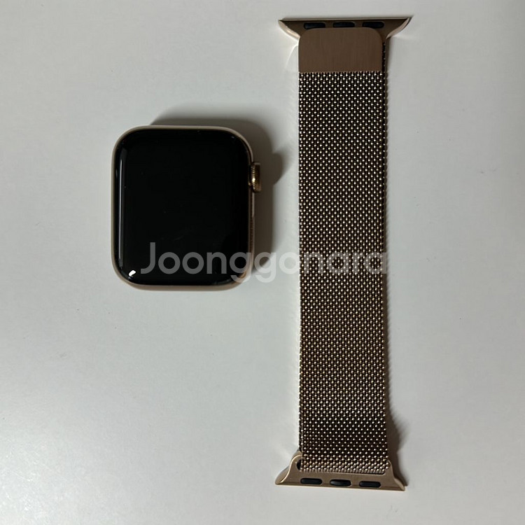 애플워치5 스테인레스골드 셀룰러 40mm +밀레니즈루프--1