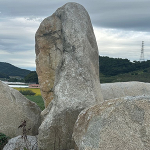 조경석, 자연석, 발파석, 암석 판매합니다