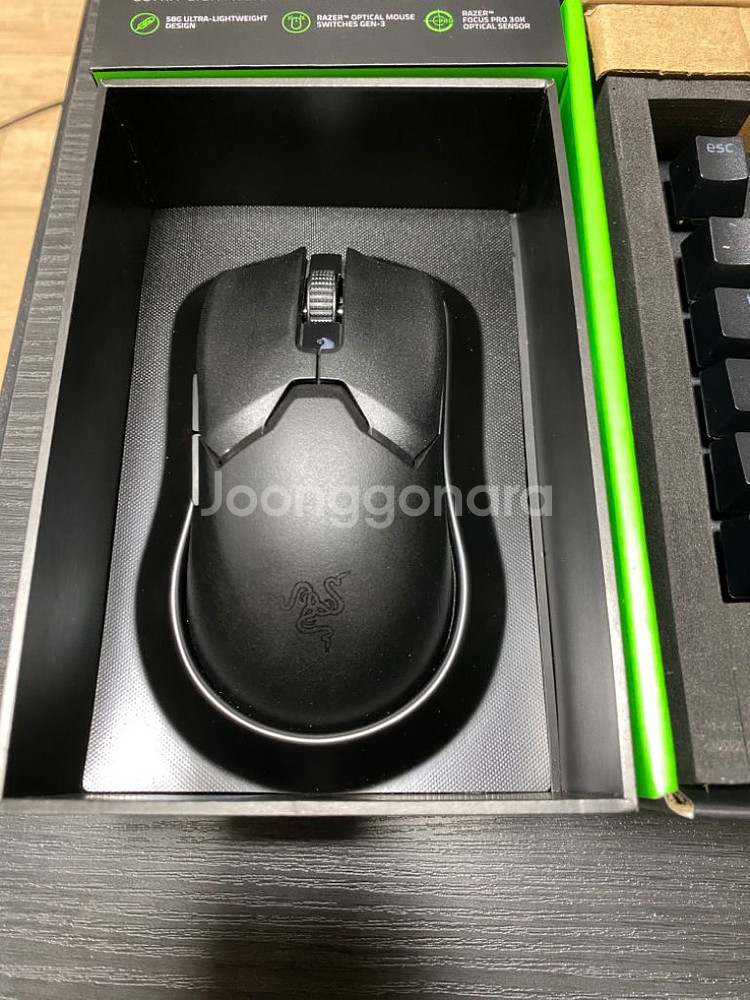 레이저 바이퍼 v2 pro / 블랙위도우v3유선 녹축--1