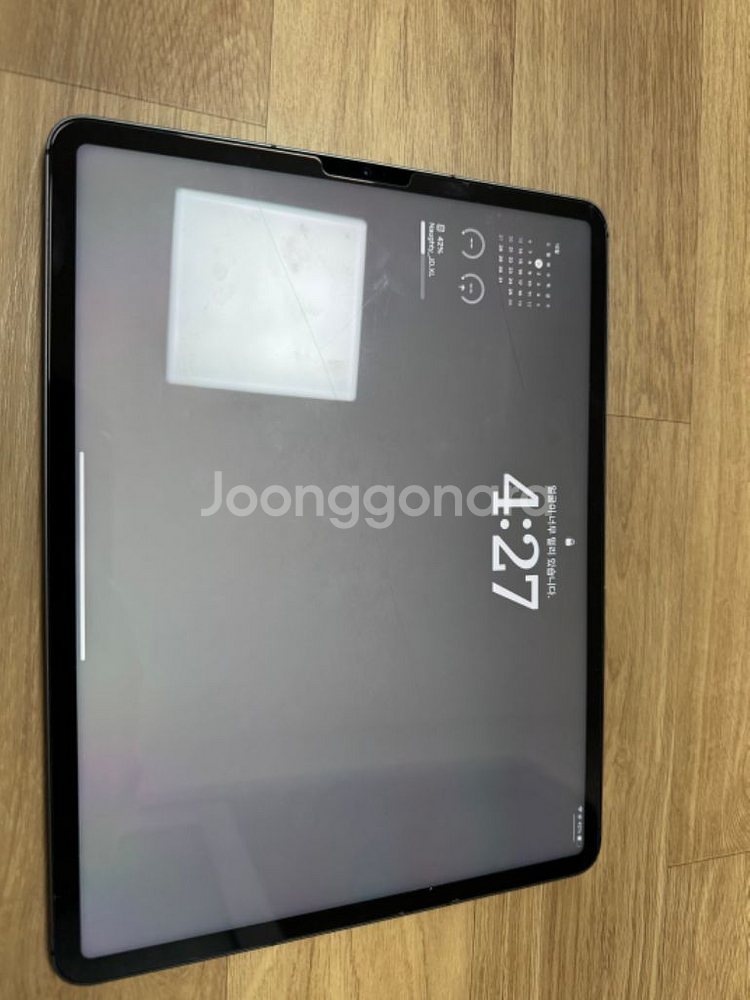 아이패드 프로 12.9 1tb 셀룰러--1