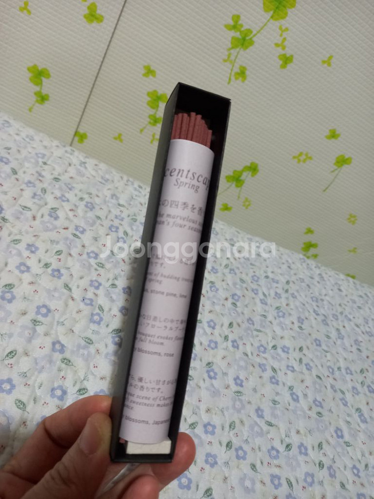 일본 향 사쿠라--1
