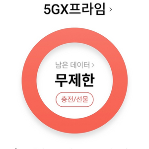 skt데이터 1기가 2기가