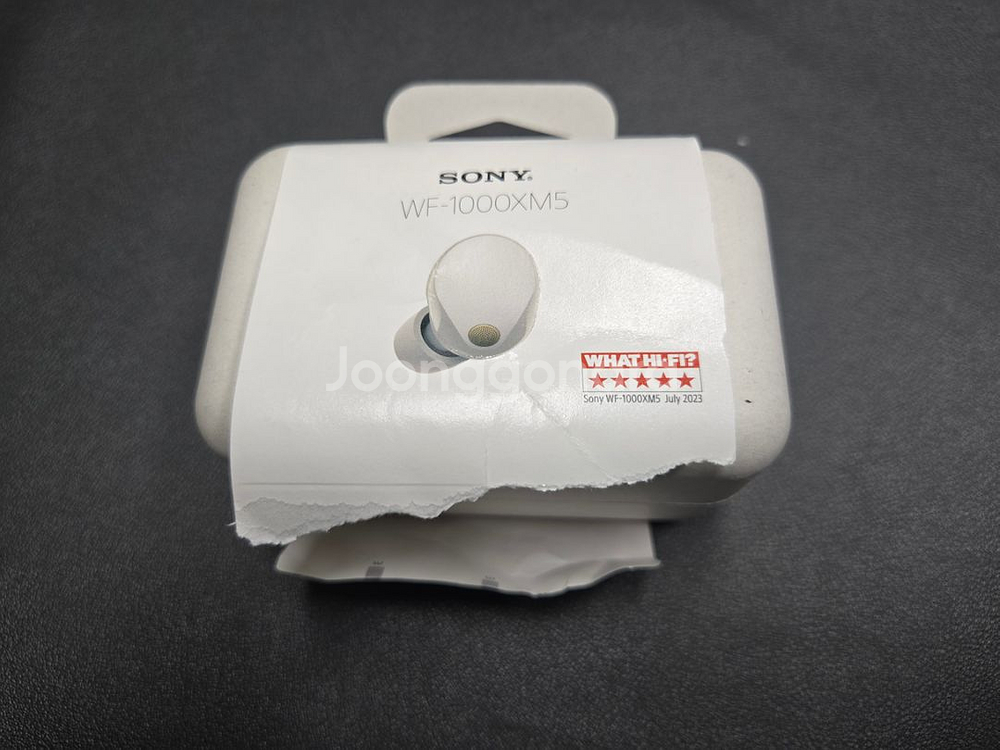 소니 SONY WF-1000 XM5 블루투스 무선이어폰--2