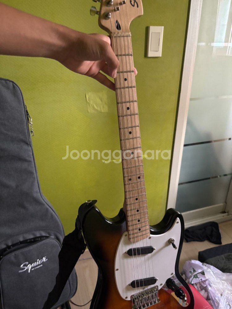 스콰이어 머스탱 입니당--1