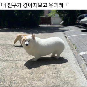 아메리카노 키프티콘