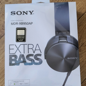 대구/SONY MDR-XB950AP EXTRA BASS