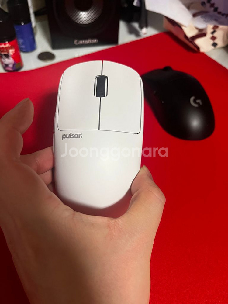 펄사(pulsa) X2V2 미디움--2