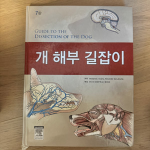 개 해부 길잡이