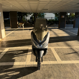 pcx125 20년식