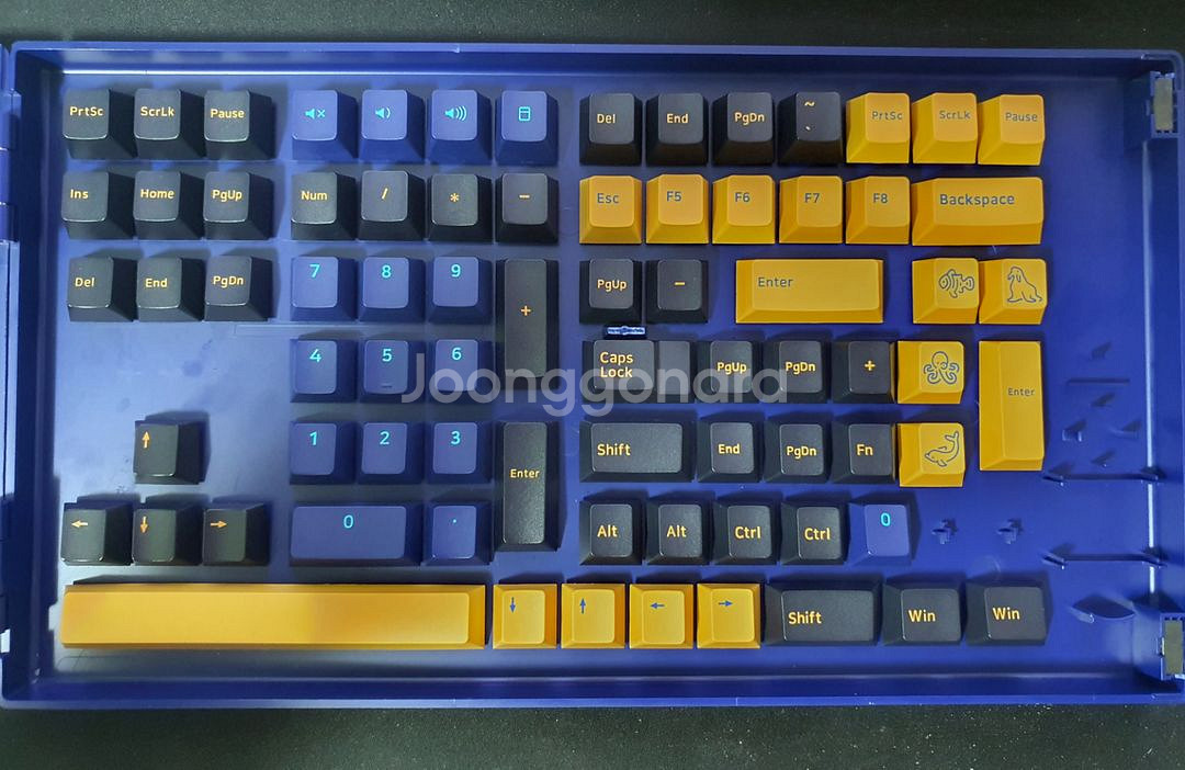 콕스 cox cx157 블루 탱 키캡--2