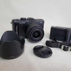 Panasonic Lumix GF1+G Vario