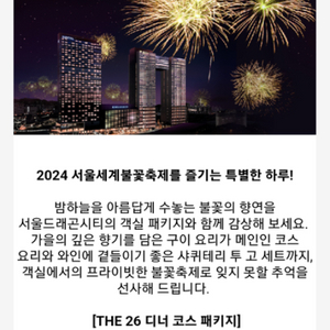 불꽃축제 확정뷰 이비스스타일 1박 디너코스 포함