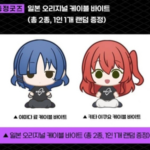 봇치 더 락 케이블바이트 대리수령