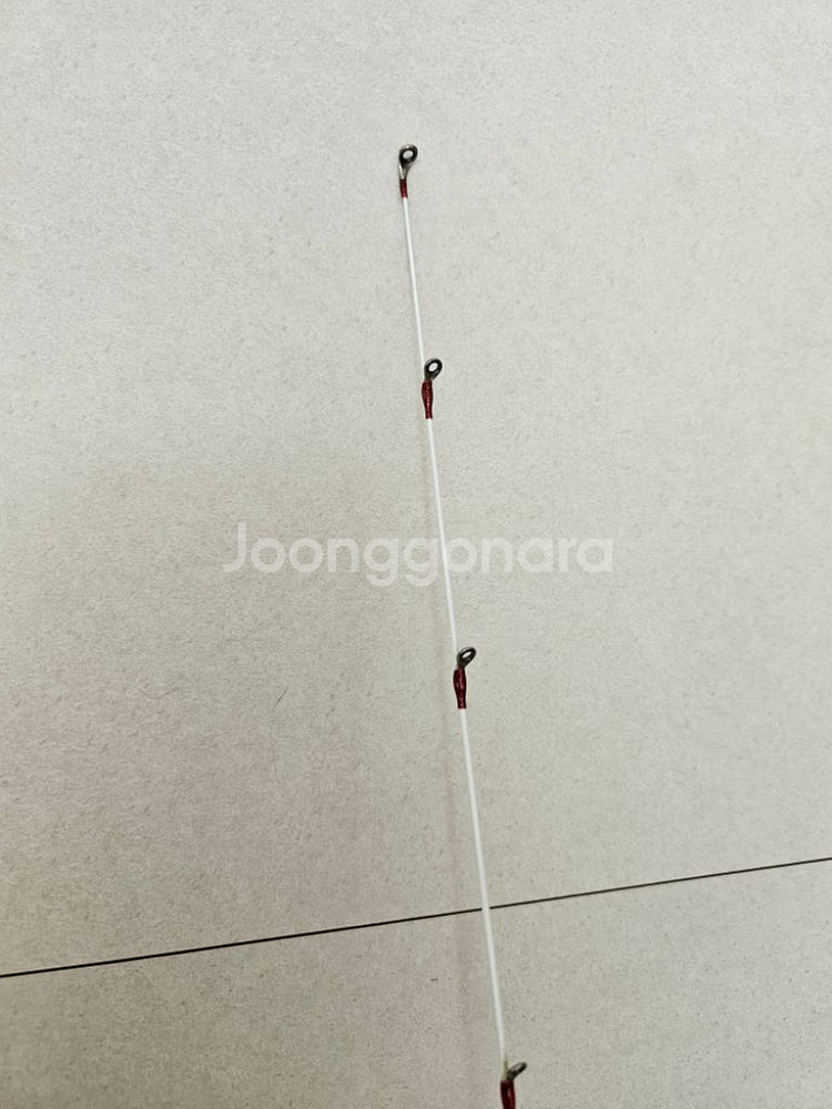 세피아xr 팁런로드--0