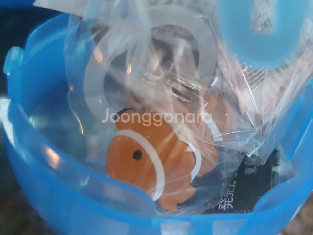 해양생물 메지루시 키링--1