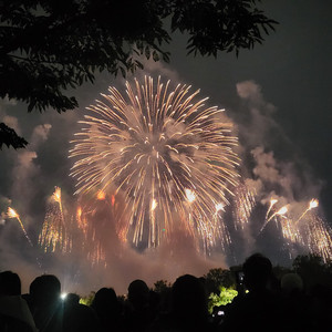 여의도 불꽃축제 오렌지존 티켓원합니다