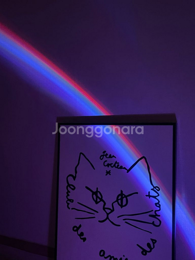 조개 모양 무지개 조명 무드등--3