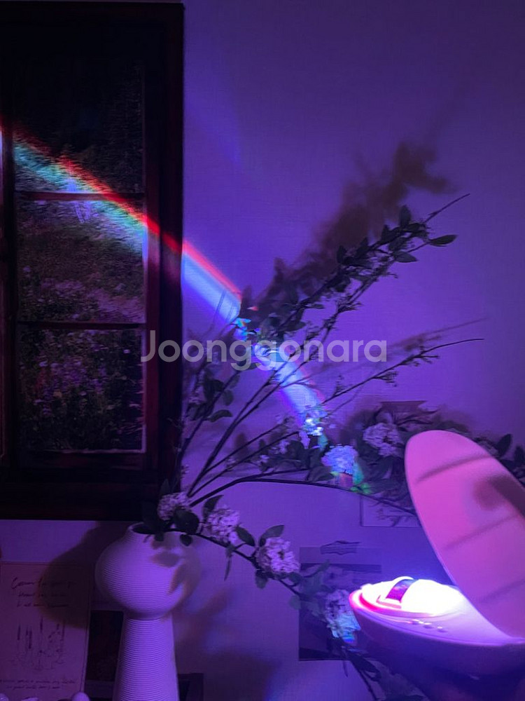 조개 모양 무지개 조명 무드등--1