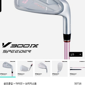 (브리지스톤 V300 9 아이언 세트 여성용 2024