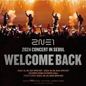 투애니원 2ne1 콘서트 금요일 일요일 표구해요