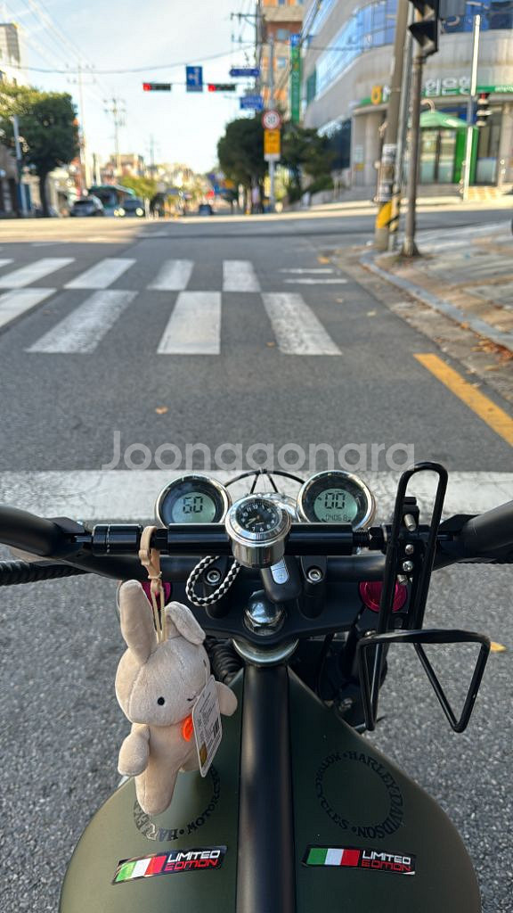 할리 전기 스쿠터--3