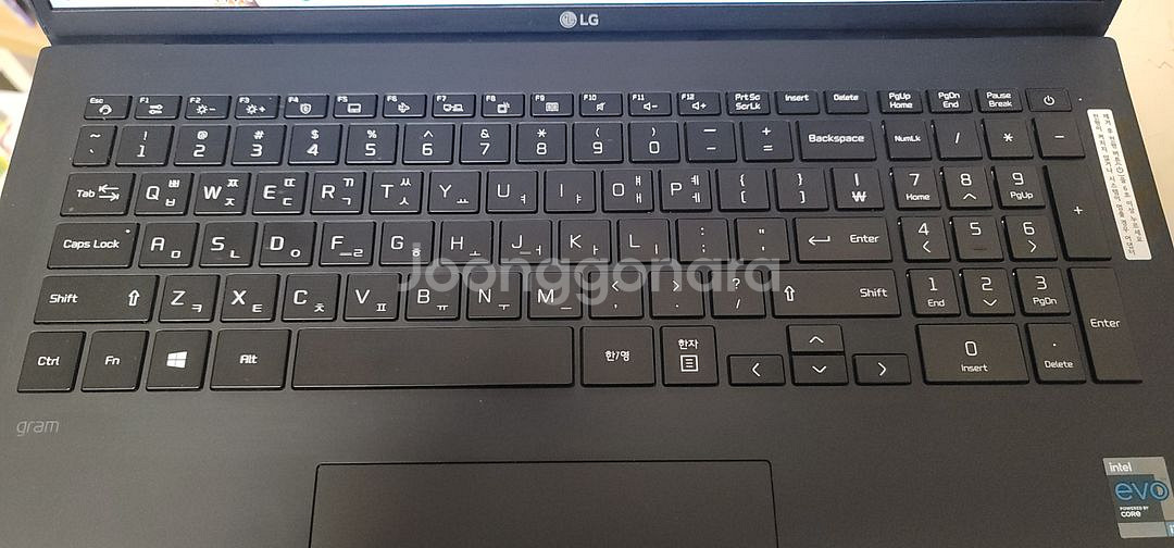 17인치 i7 그램17 (11세대 i7, 8GB, 25--4