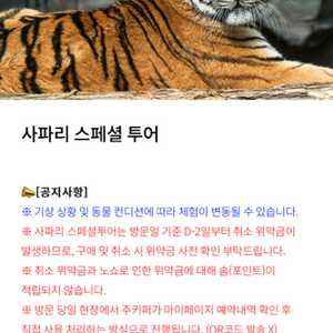 사파리스페셜 투어