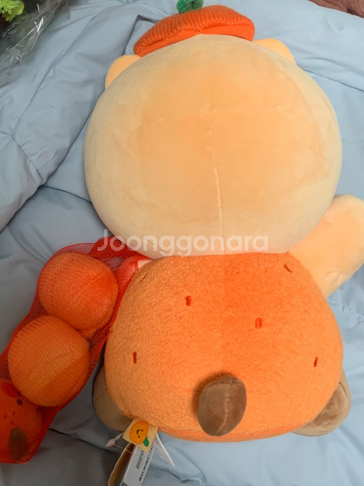 제주 감귤망을 든 춘식이 인형--1