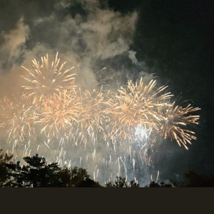 여의도 불꽃축제 2연석 구합니다