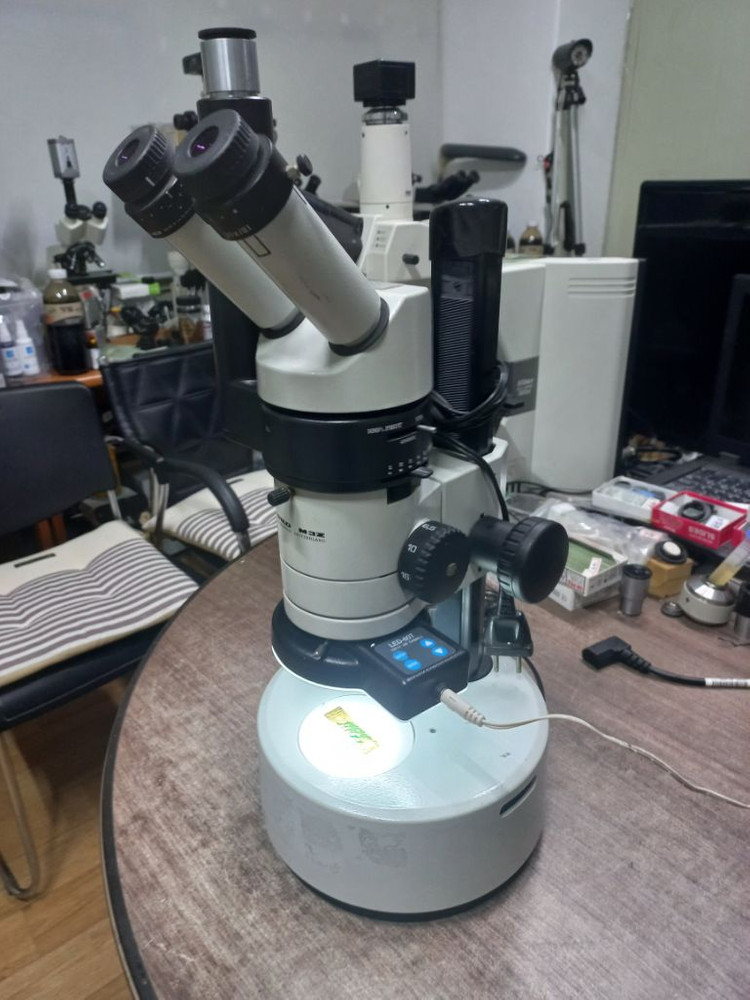 라이카3안실체현미경 싸게판매합니다 이미지