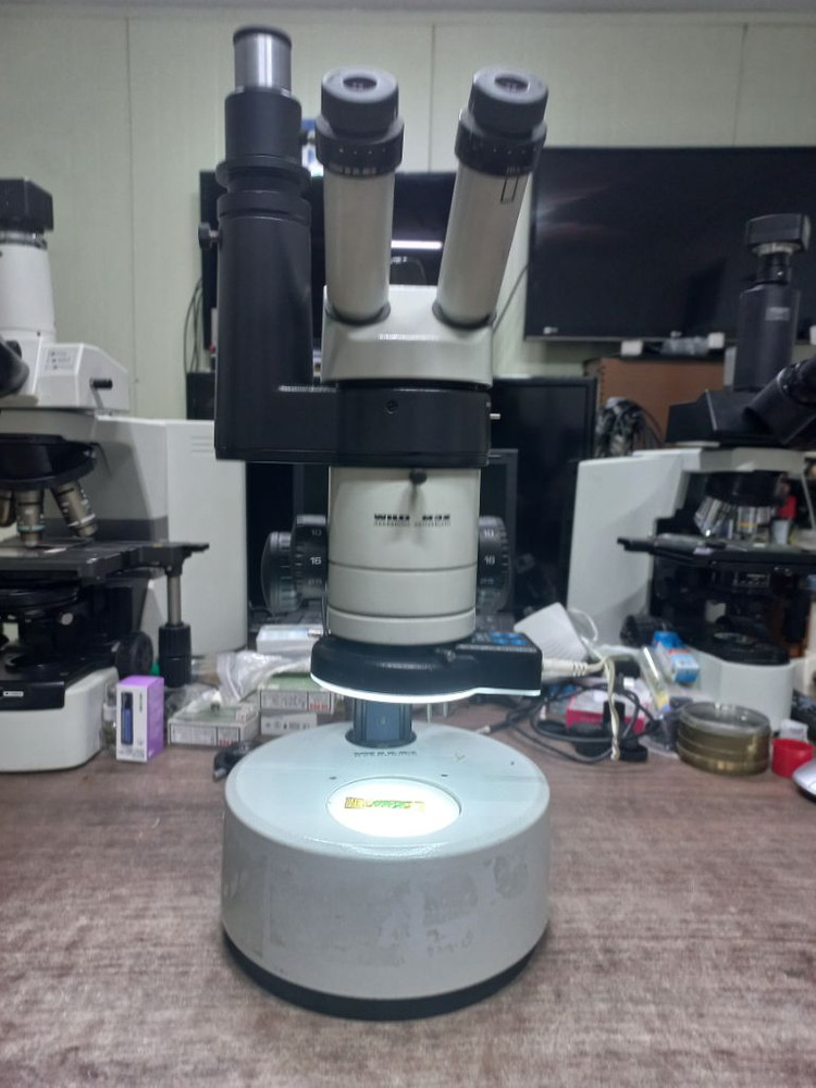 라이카3안실체현미경 싸게판매합니다 이미지