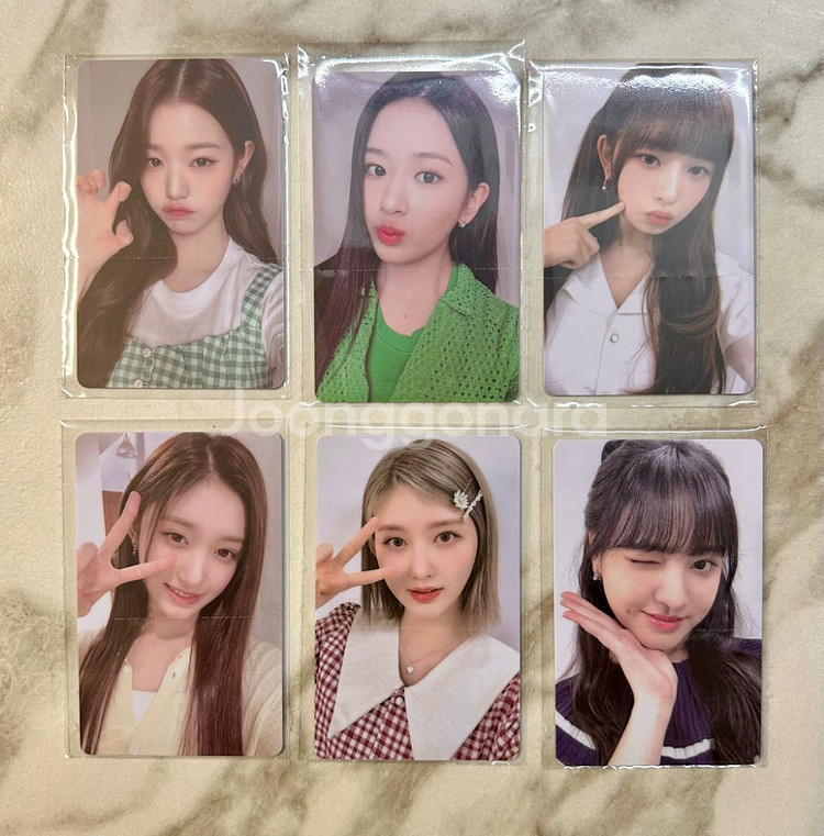 아이브포카 파파존스아이브 파파존스포카--1