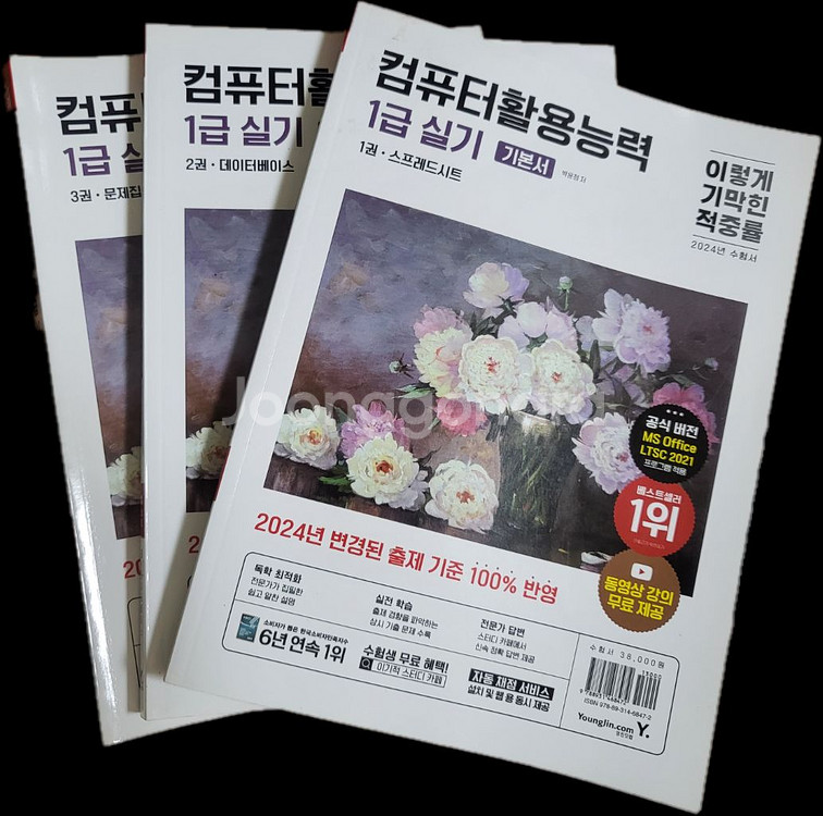 이기적 컴퓨터활용능력 1급 실기 기본서--1
