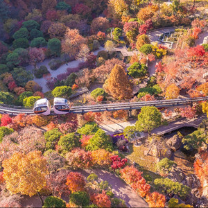 화담숲 11월 17일(일) 12시 30분 입장권만 4장