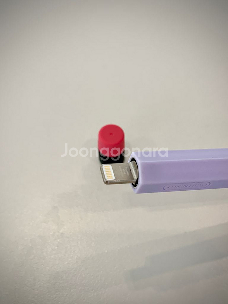 S급 애플펜슬1세대 + 엘라고케이스포함--4
