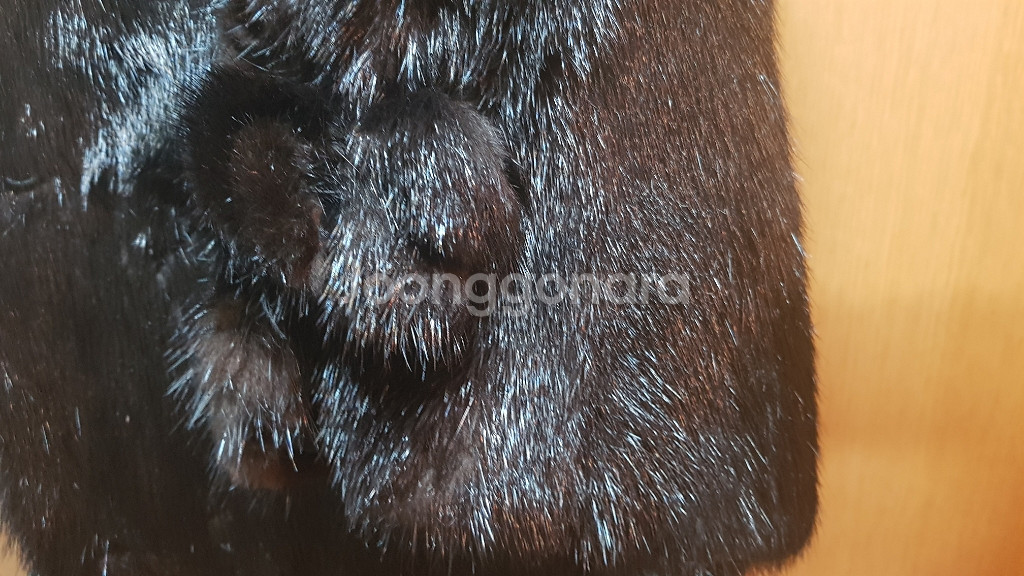 사가밍크 SAGA MINK 블랙 밍크 코트--5