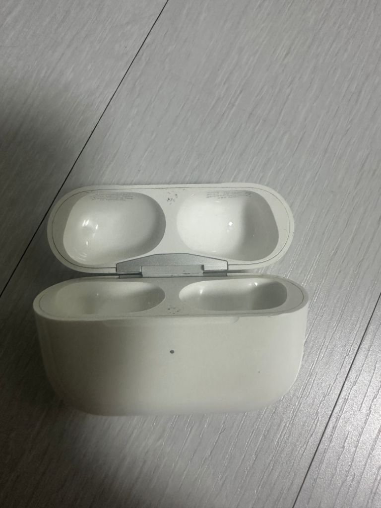 에어팟 프로 1 (본체)