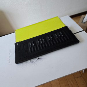 roli seaboard 25 상태 최강 전용 케이스