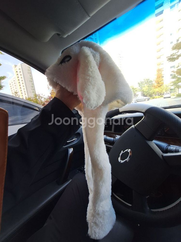 아이 토끼 귀 쫑긋모자,캐치볼,한발번갈아뛰기놀이,인형사--1