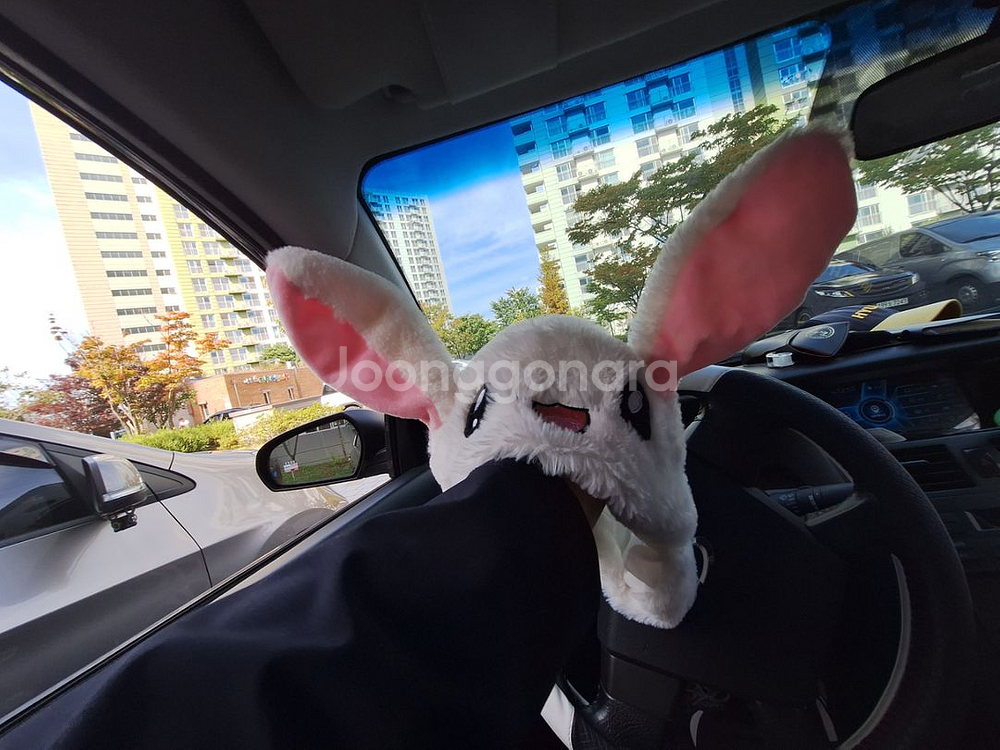 아이 토끼 귀 쫑긋모자,캐치볼,한발번갈아뛰기놀이,인형사--2