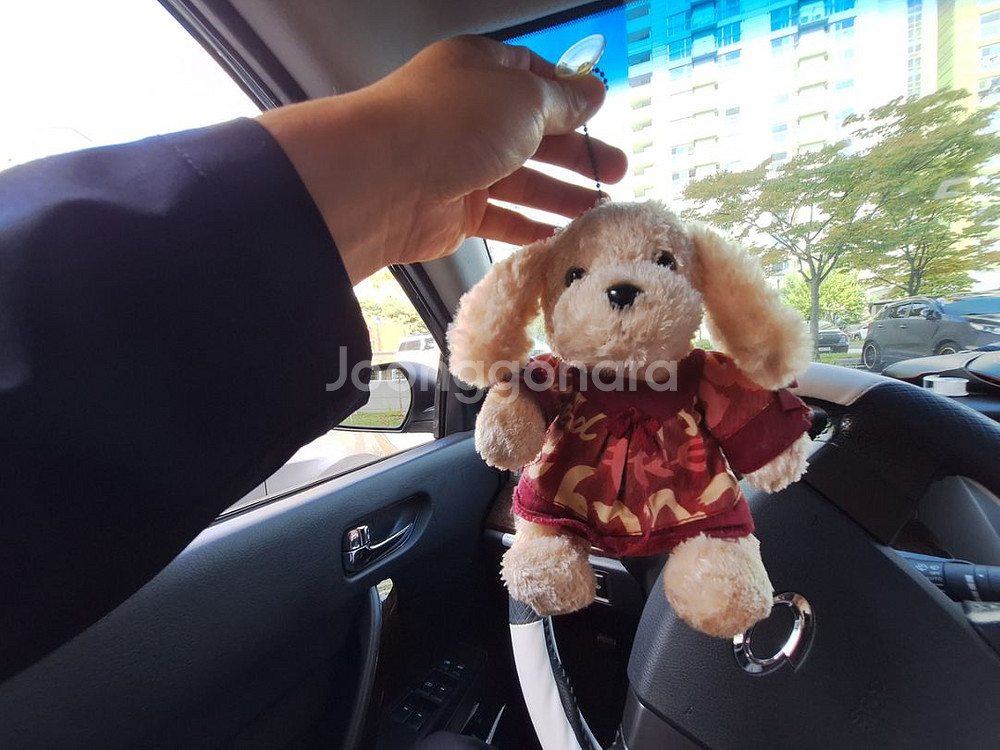 아이 토끼 귀 쫑긋모자,캐치볼,한발번갈아뛰기놀이,인형사--7