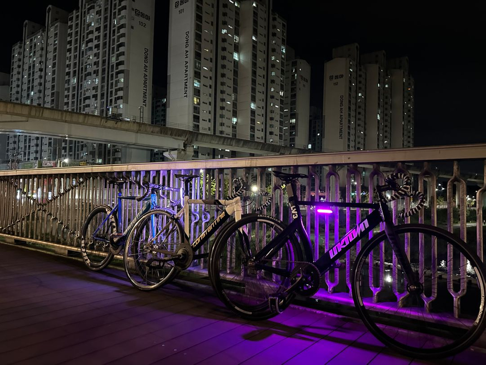 콘스탄틴 2017년식 버나드 중급 구성 급처--5