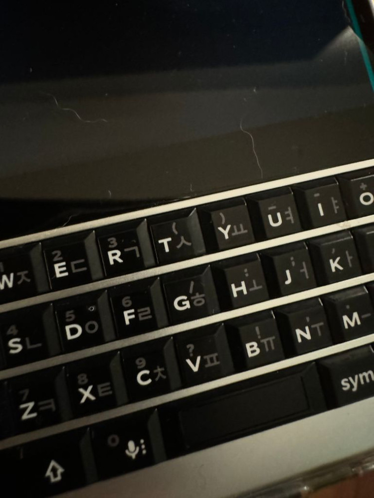 블랙베리 키투실버 팜--1